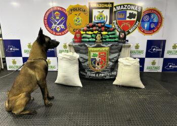 Líder na região norte, Amazonas é o 6° estado que mais apreende drogas no país