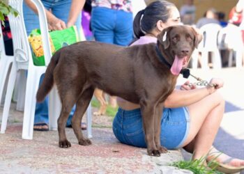 Baile do Encanto: Sejusc promove dia de cuidados e ceia natalina para pessoas em situação de rua e vulnerabilidade social