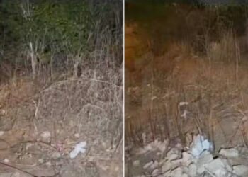 Menina é resgatada em terreno baldio após sofrer sequestro e abuso