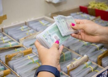 Detran-AM suspende serviços de habilitação para adequação devido à CNH do Brasil
