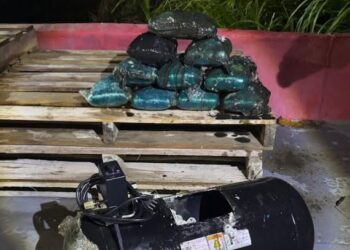 Cão policial encontra droga escondida em compressor em ferry boat no AM