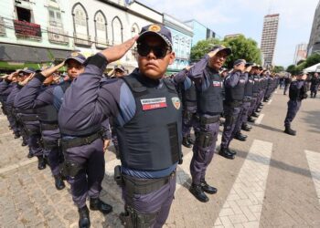 Balanço 2025: Governo do Amazonas tem novo recorde de apreensão de droga, redução de homicídios e crimes contra o patrimônio
