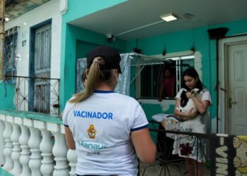 Campanha de vacinação antirrábica da prefeitura teve mais de 288 mil animais imunizados em Manaus