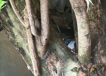 Segunda perna é encontrada por moradores em igarapé de Manaus