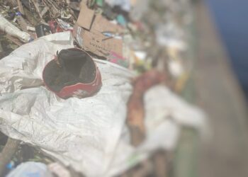 Garis encontram perna de homem em meio ao lixo em Manaus