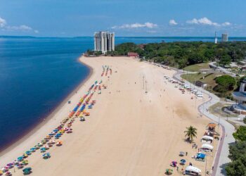 Lei garante circulação de animais nas praias e balneários de Manaus