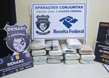 Cão farejador encontra maconha em bagagem de passageiro no Centro de Manaus