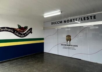 Homem agride ex-mulher com cabo de terçado e manda vítima dizer que havia caído em Manaus