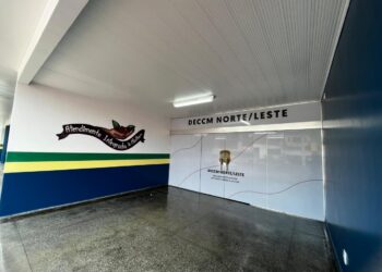 Homem é preso por estuprar adolescente com autismo no Amazonas