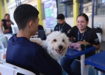 Governo do Amazonas promove segunda etapa da castração solidária de animais no bairro Betânia, zona sul da capital