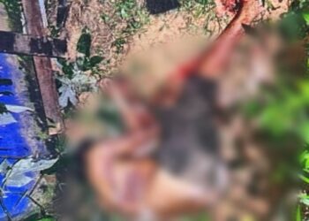 Casal vivia relação marcada por brigas e drogas, diz cunhado de homem que matou ex-mulher a facadas em Manaus