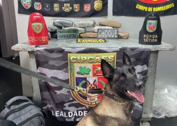 Mulher é presa com mala recheada de maconha em embarcação no AM