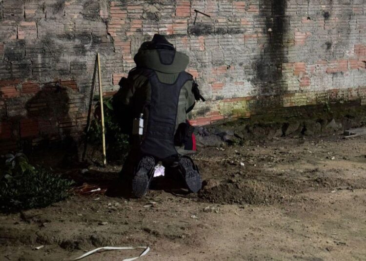 Granada é encontrada em quintal de casa no Japiim