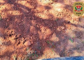 Casal é preso após enterrar e queimar recém-nascido