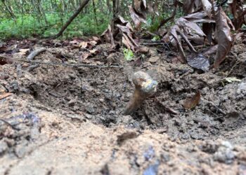 Ossada humana é encontrada enterrada em ramal de Iranduba e pode ser de jovem desaparecido