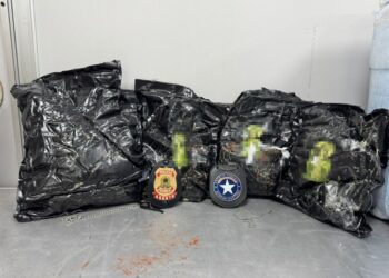 Encomenda com 3,5 kg de drogas com destino a São Paulo é apreendida em aeroporto de Manaus
