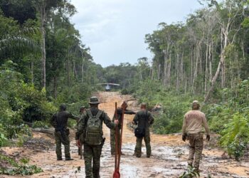 Operação destrói pistas de pouso clandestinas usadas pelo tráfico internacional de drogas no Amazonas