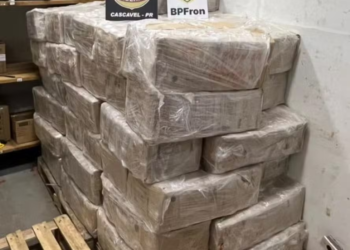 PF apreende 1,6 tonelada de maconha em carreta no Paraná