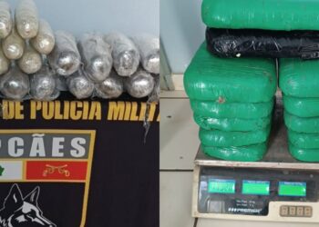 Operação apreende 35 kg de drogas, armas e prende grupo no AM