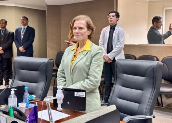 PL de Yomara Lins que garante rastreamento precoce do autismo em maternidades e hospitais é deliberado na CMM