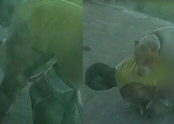 Homem é denunciado por abusar sexualmente de cachorro em Presidente Figueiredo; vídeo gera revolta