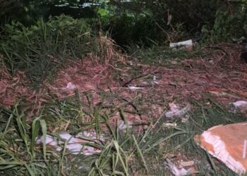 Crianças encontram corpo de mulher em igarapé na Zona Sul de Manaus