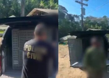 Idoso é preso após estuprar cadela na BR-174, em Manaus