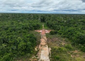 Como o CV usava aviões e pistas clandestinas no Amazonas para levar drogas a outros estados