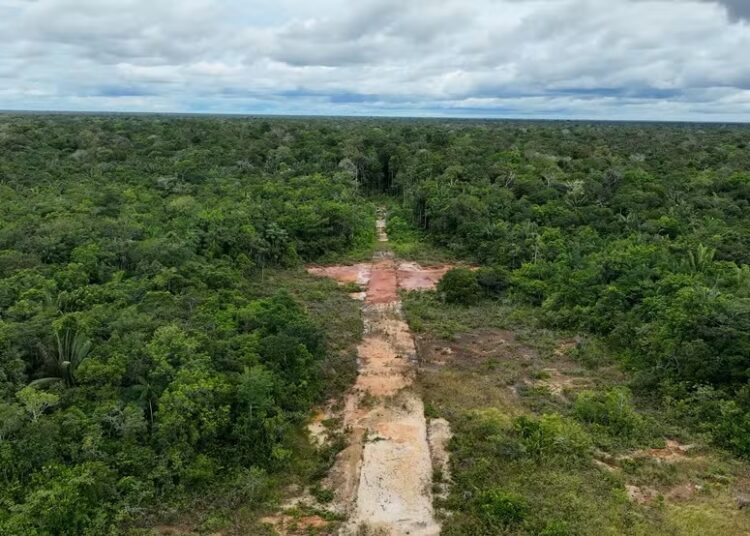 Como o CV usava aviões e pistas clandestinas no Amazonas para levar drogas a outros estados