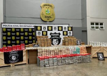 Denarc apreende 700 kg de skunk em galpão na Cidade Nova; droga iria para o RJ