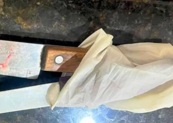 Idoso de 73 anos é esfaqueado pelo filho em Manaquiri, no AM