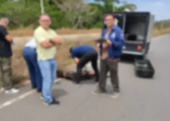 Corpo de mulher é encontrado em estado de decomposição na AM-070, em Iranduba