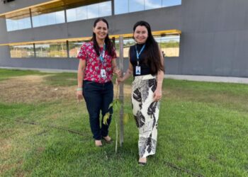 Servidores reforçam cuidado com plantas e árvores na nova sede do Implurb, garantindo pertencimento e sustentabilidade